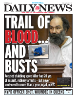 NY Daily News_2011.pdf